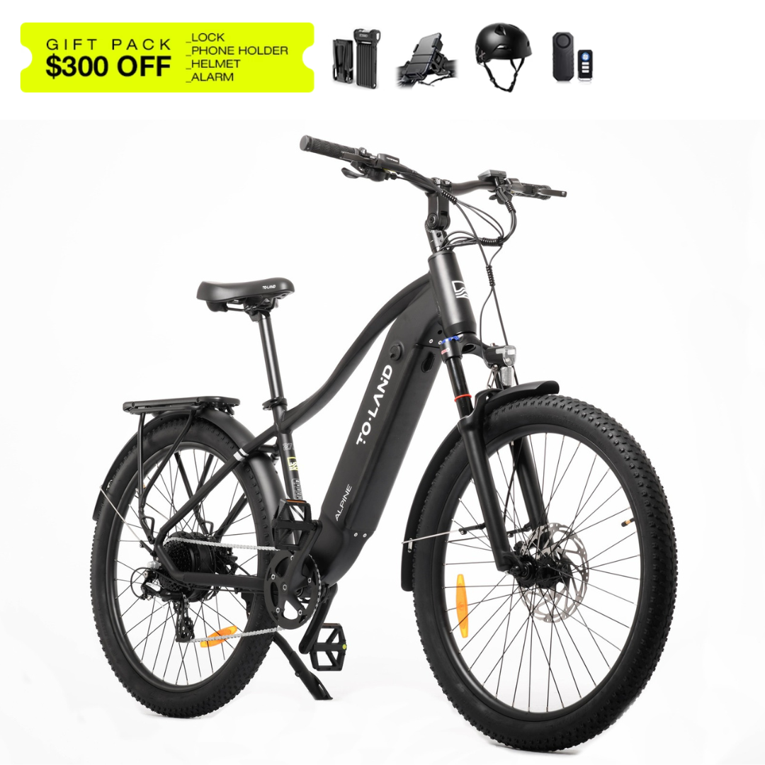 TOLAND ALPINE ELECTRIC BIKE