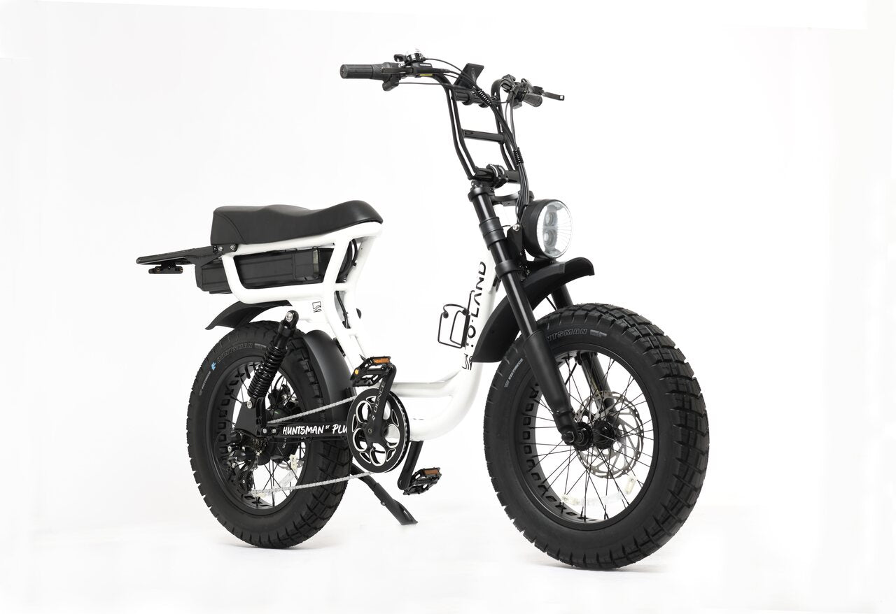 An electric bike with fat tyres, disc brakes, and a rear cargo rack. Accessories including a helmet and lock.