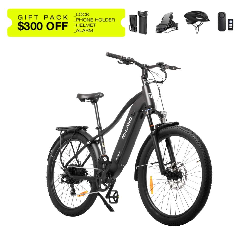 TOLAND ALPINE ELECTRIC BIKE