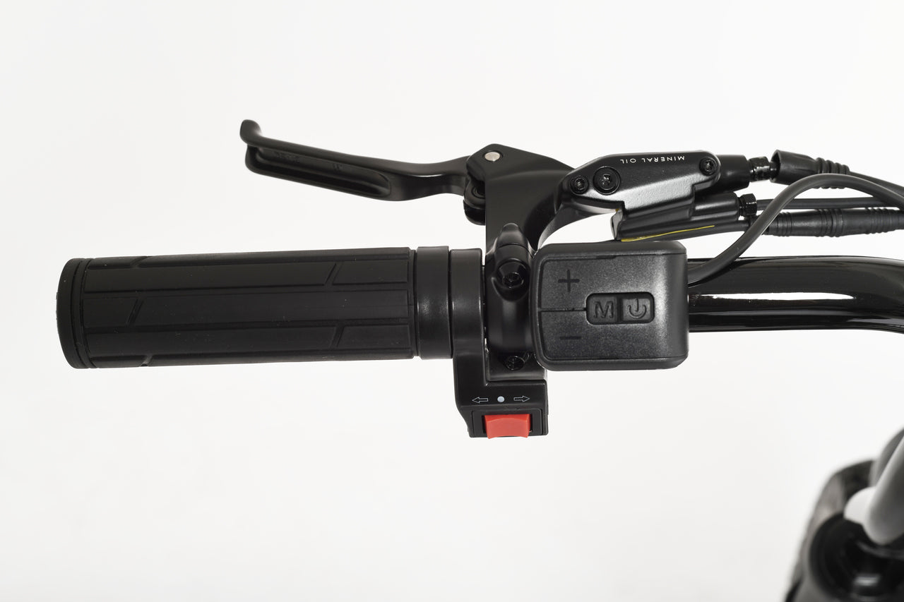 TOLAND HUNTSMAN PLUS ST E-BIKE, 1000W, 52V 20AH 1040WH BATTERY