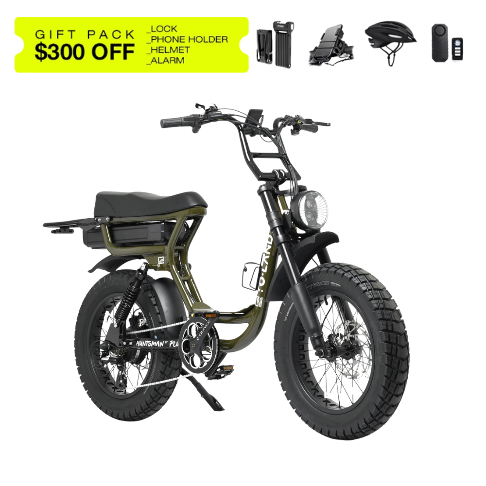 TOLAND HUNTSMAN PLUS ST E-BIKE, 1000W, 52V 20AH 1040WH BATTERY